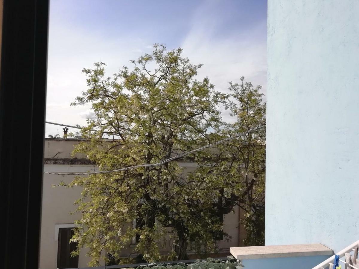 B&B Maresalento Racale Kültér fotó